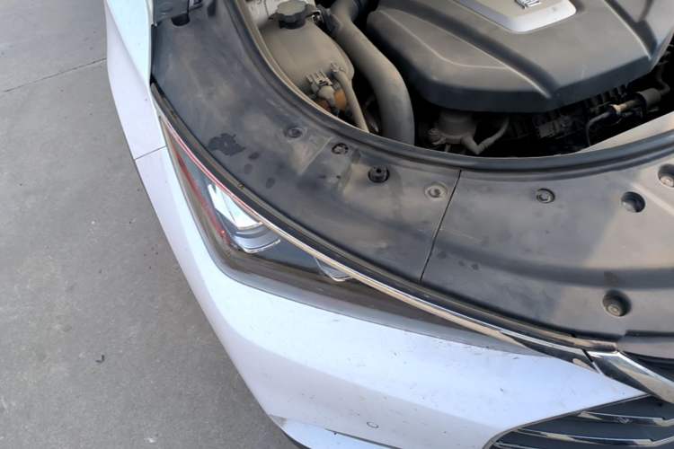 Used BYD Tang 2018 2.0T Automatic Smart Connect Prestige 7-Seater China V Standard

