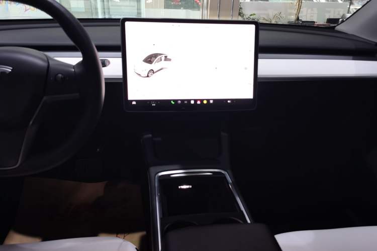 Used Tesla Model Y 2021 Standard Range Rear-Wheel Drive Version
