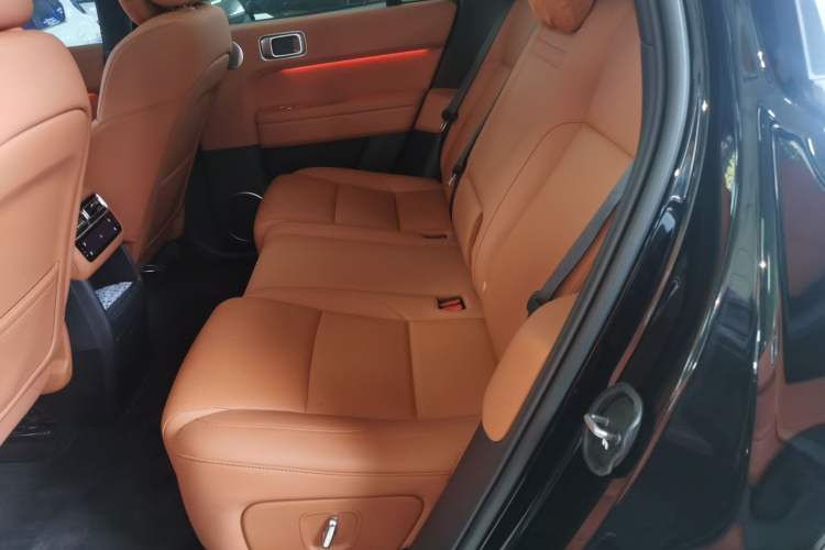 Used Li Auto L6 2024 Pro Model Left Rear Seat