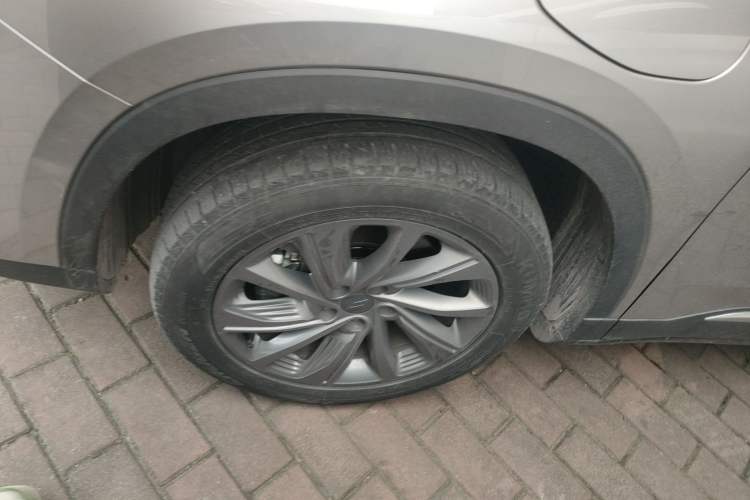 Used Livan 9 2023 470 km Leading Edition
