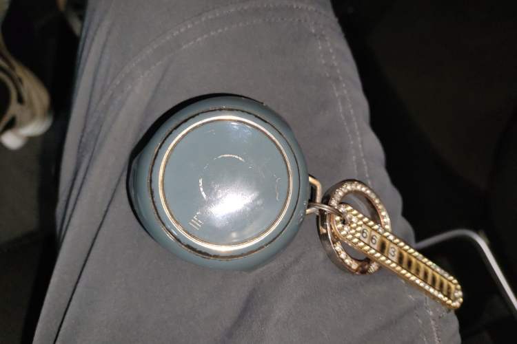 Used NETA V 2021 Standard Range Entertainment Version – Upgraded Model Vehicle Key