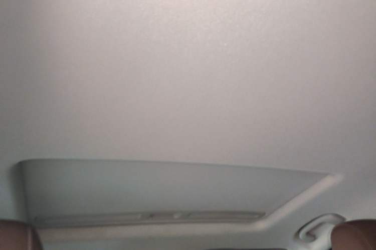 Used Buick Regal 2017 20T Elite Edition Headliner