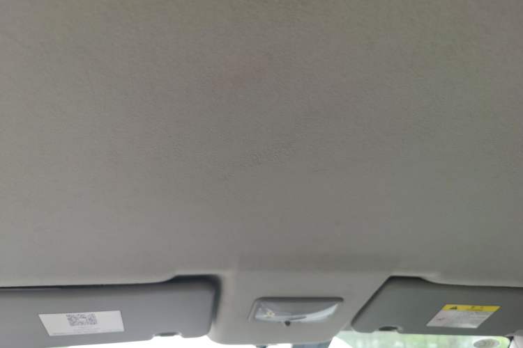 Used FORTHING Joyear X3 2016 1.5L Comfort Model Headliner