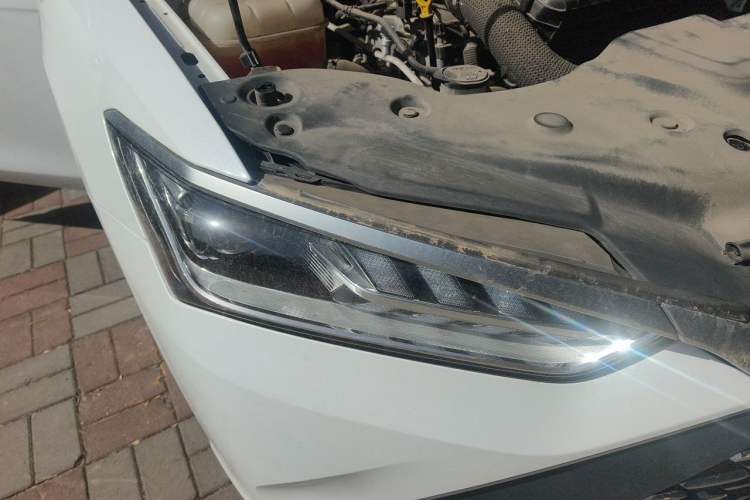 Used BYD Qin PLUS 2023 Champion Edition DM-i 55KM Leading Model
