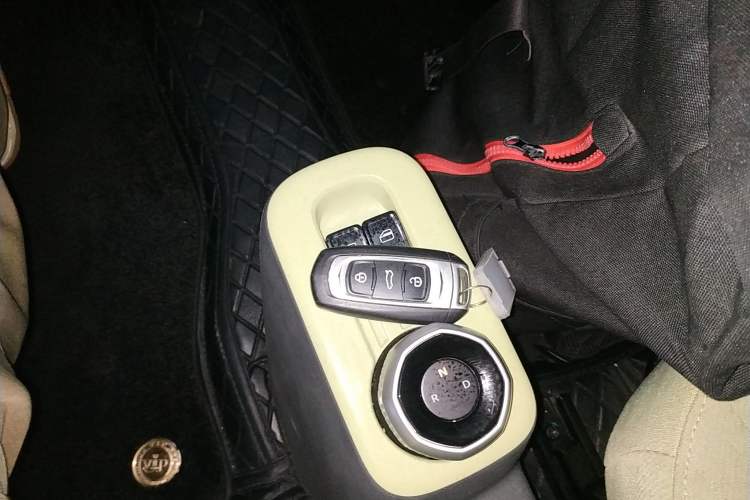 Used Geely Galaxy Panda 2024 Panda Mini 200km Endurance Bear
