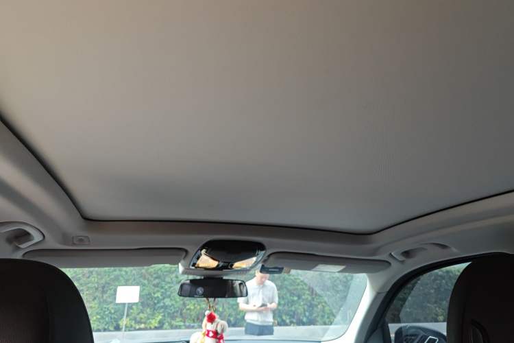 Used BMW iX3 2022 Updated Leading Version Headliner