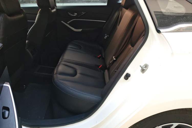 Used Venucia D60EV 2020 Standard Range T3
