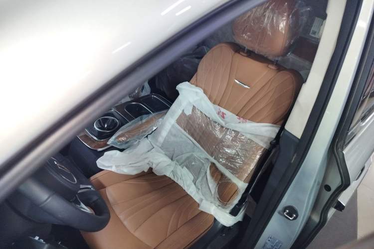 Used Hongqi HQ9 2023 2.0T Smart Connect Flagship Edition Left Front Seat