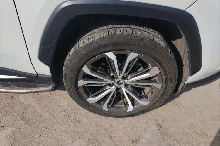 Used Toyota Wildlander 2021 Dual-Motor 2.5L E-CVT Four-Wheel Drive Luxury Edition