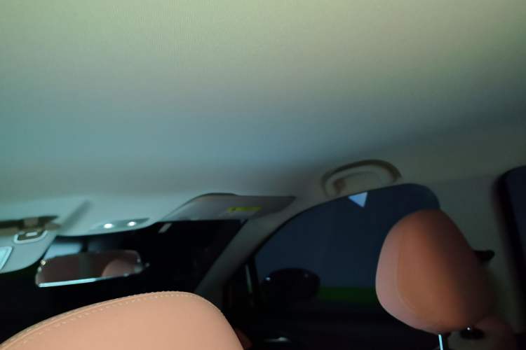 Used NETA V 2021 Witch Edition
