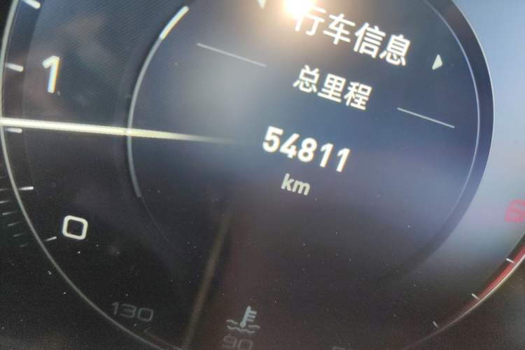 Used Hongqi H9 2020 2.0T Smart Connect Flagship Edition