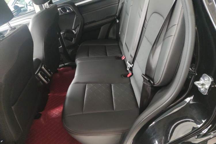 Used Haval DARGO 2022 2.0T DCT Two-Wheel Drive Huazhong Hound Edition Left Rear Seat