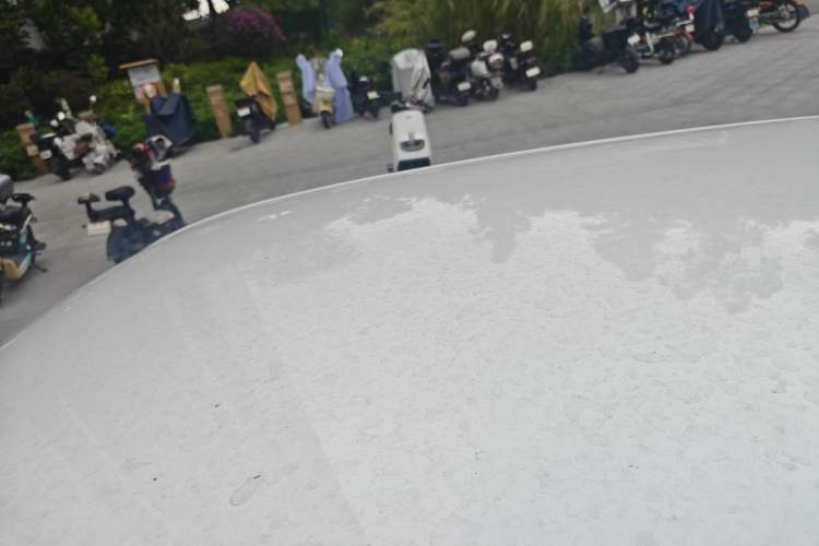 Used ORA Black Cat 2019 351 km Goddess Edition