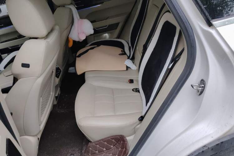 Used Zotye T700 2017 1.8T Dual-Clutch Prestige Model Left Rear Seat