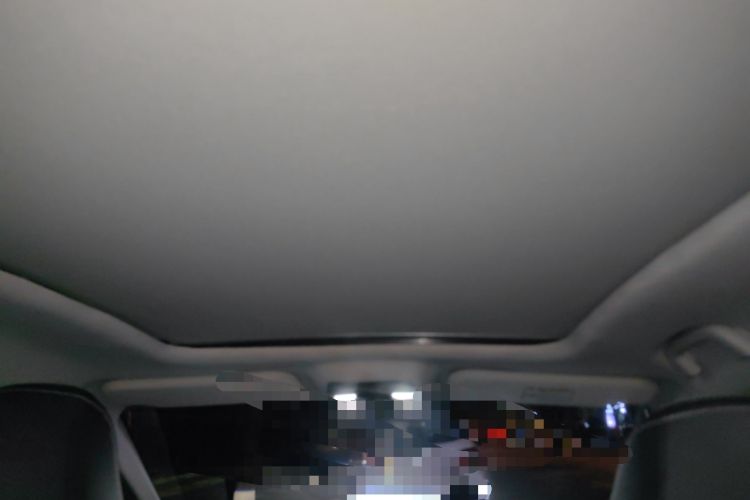 Used NETA U 2022 NETA U-Ⅱ 500 Lithium Iron Phosphate Headliner