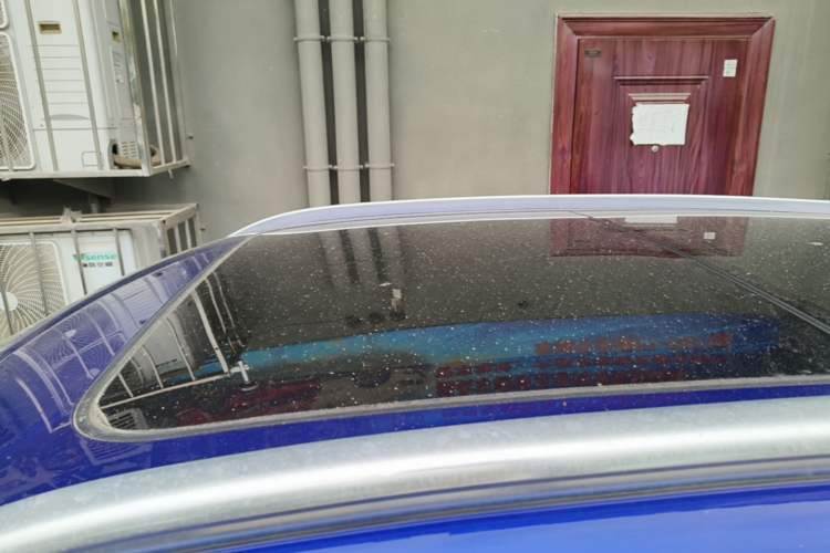 Used Hongqi HS5 2019 2.0T Smart Connect Flagship All-Wheel-Drive Version