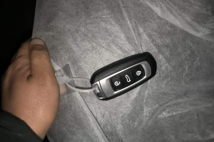 Used Geely Galaxy Panda 2024 Panda Mini 200km Endurance Bear