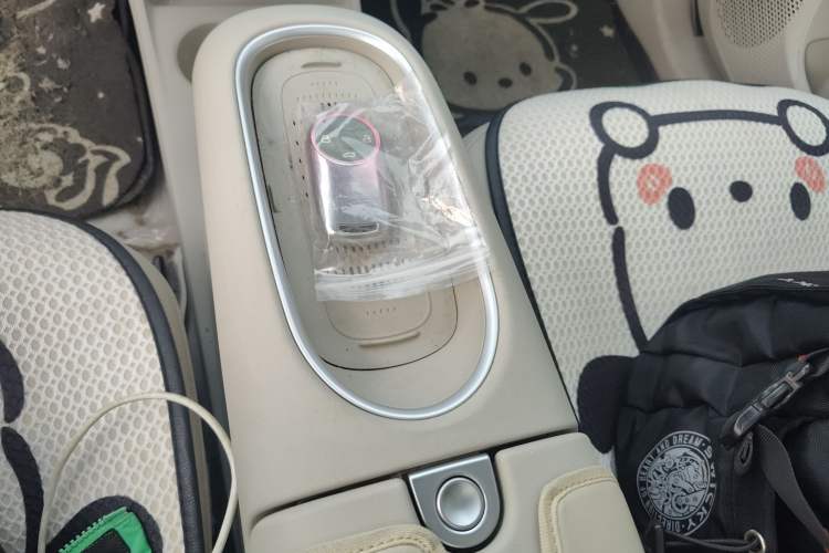 Used ORA Good Cat 2024 401 km Luxury Version 126 kW Gear Lever