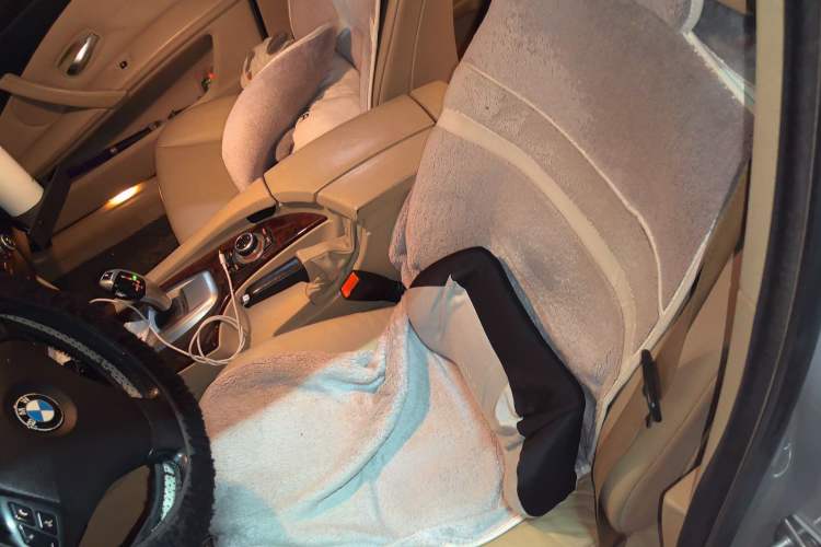 Used BMW 5 Series 2010 520Li Leading Model
