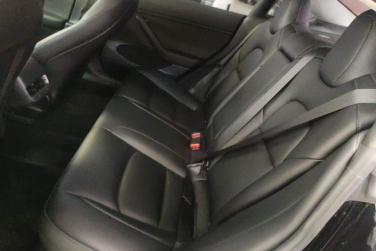 Used Tesla Model 3 2022 Rear-Wheel-Drive Version