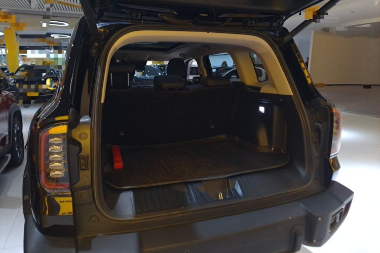 Used Haval DARGO 2024 2.0T DCT Chinese Rural Dog Edition