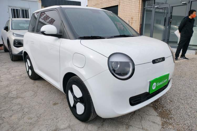 Used Qiyuan Lumin 2023 205km Xiangqin Version
