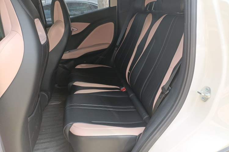 Used BYD Seagull 2025 305 km Free Version Left Rear Seat