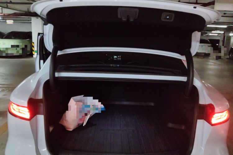 Used VOYAH PASSION 2023 Four-Wheel Drive Flagship Edition