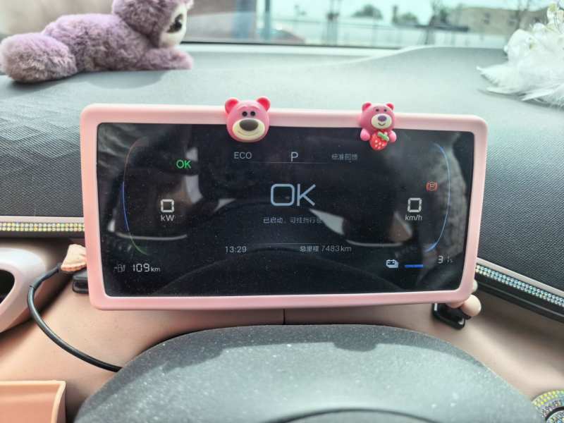 Used BYD Seagull 2025 305 km Free Version — 8