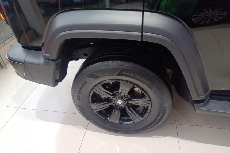 Used Tank 300 2024 2.0T Conqueror