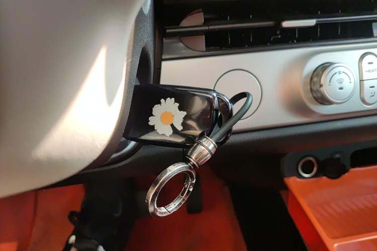 Used Qiyuan Lumin 2025 301km Honey Dew Edition