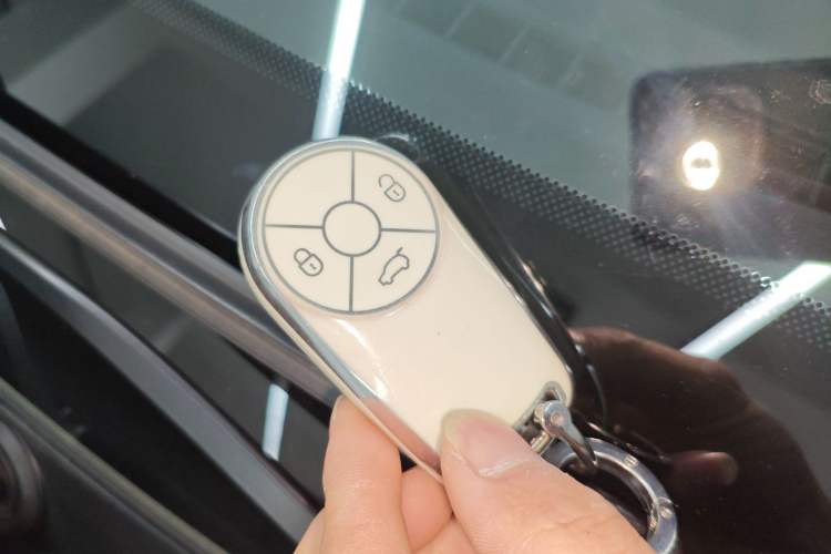 Used ORA Good Cat GT 2024 Mulan Edition 401km Luxury Version
