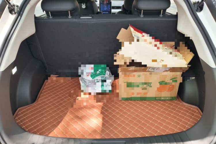 Used NETA V 2021 Long-Range Entertainment Edition