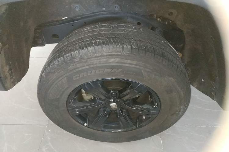 Used Tank 300 2024 2.0T Conqueror