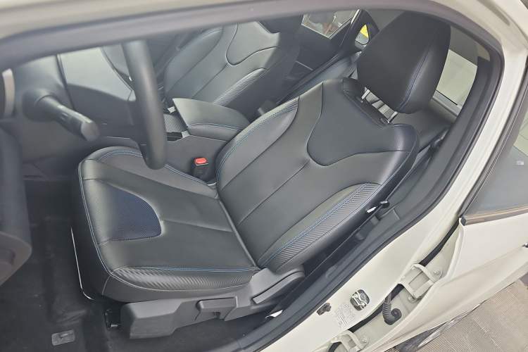 Used Venucia Venucia D60EV 2020 Standard Range Smart Drive Edition
