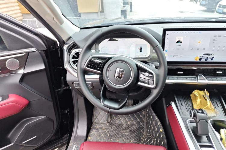 Used Tank 400 2025 2.0T Gasoline Version
