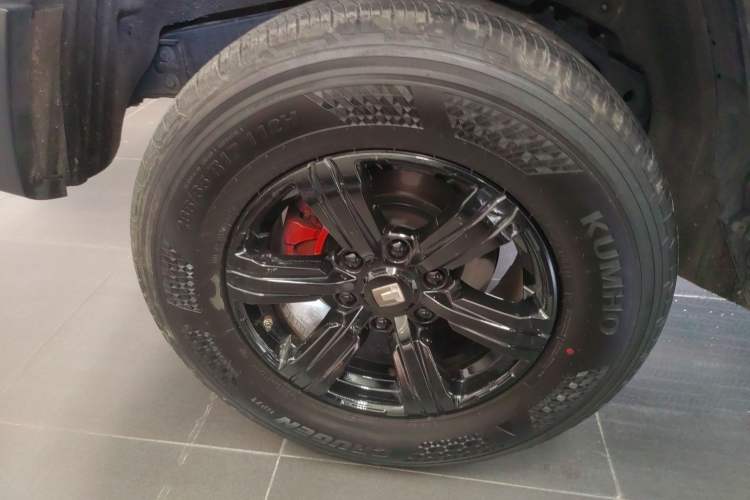 Used Tank 300 2024 2.0T Conqueror