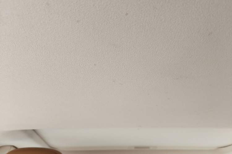 Used Lexus ES 2015 200 Elite Edition Headliner