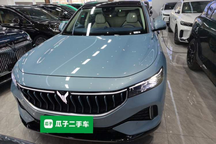 Used VOYAH FREE 2021 Four-Wheel Drive All-Electric First Edition Commemorative Edition Exclusive Luxury Package Front