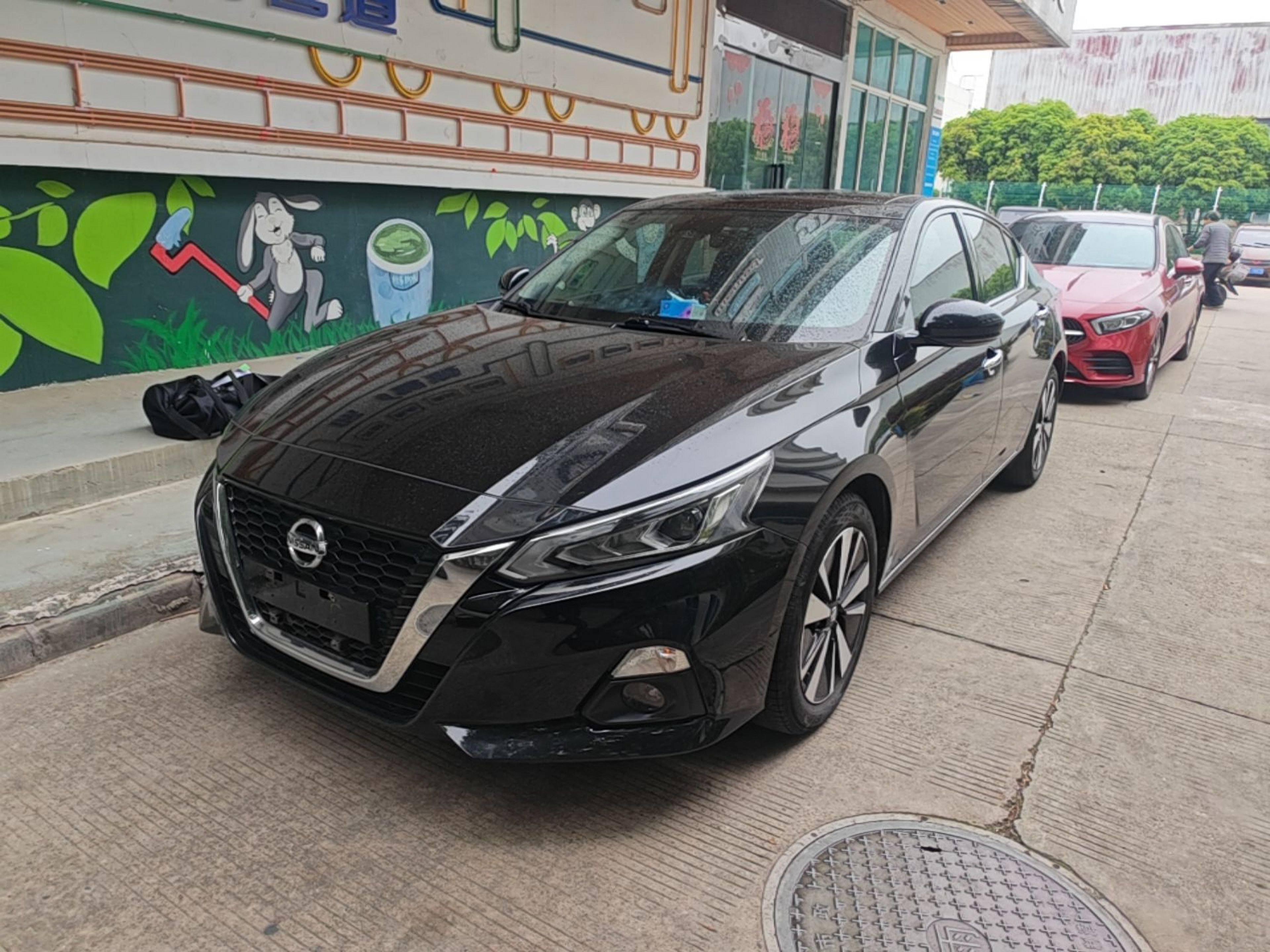 Parte inferior delantera