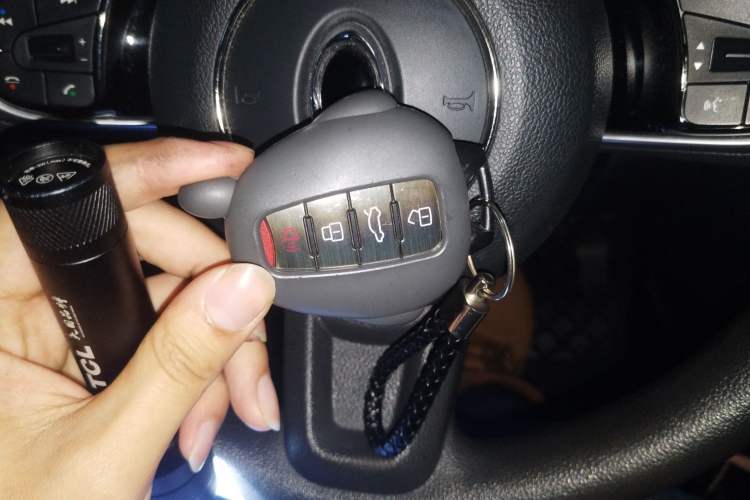 Used ORA White Cat 2020 305 km Luxury Version Interior 1