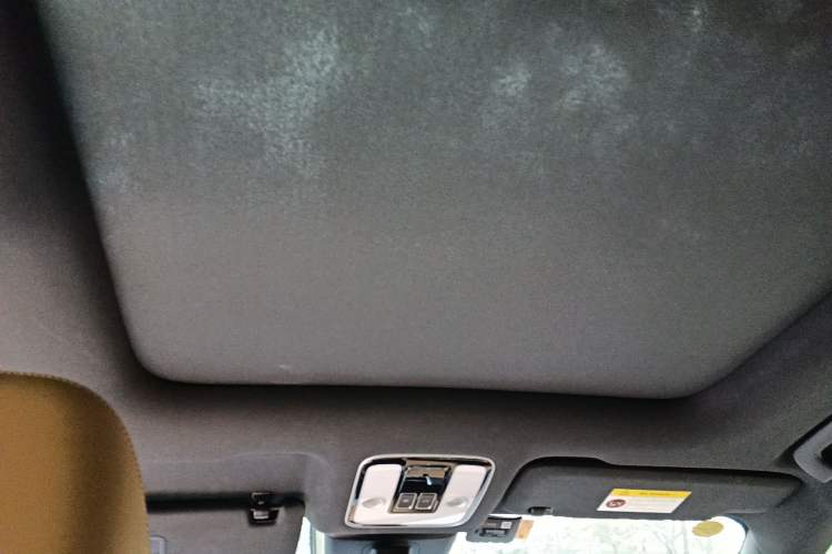 Used Li Auto ONE 2021 Extended-Range 6-Seater Version Headliner