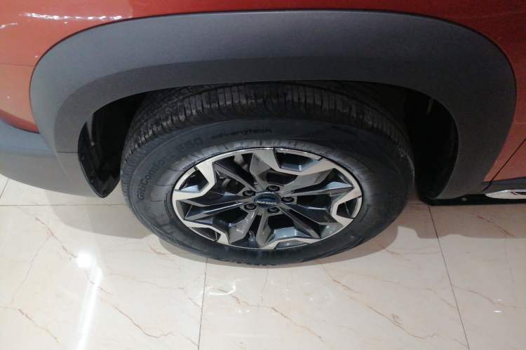 Used Haval DARGO 2021 2.0T DCT 4x4 Chinese Rural Dog Edition