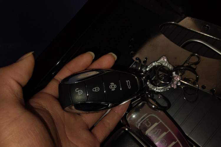 Used Hongqi HS7 PHEV 2024 2.0T PHEV Four-Wheel Drive Flagship Edition 6 Seats
