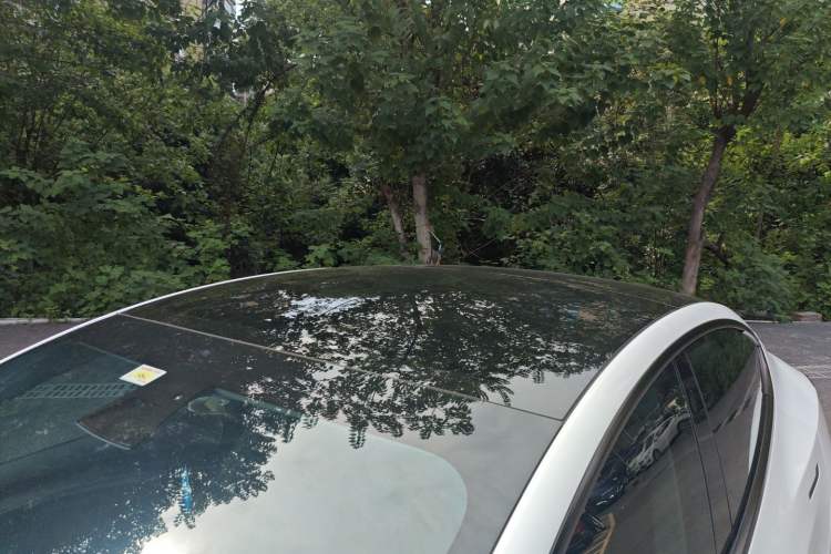 Used Tesla Model 3 2021 Standard Range Rear-Drive Upgraded Version
