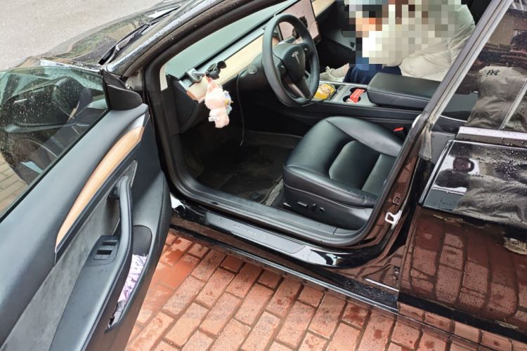 Used Tesla Model 3 2022 Rear-Wheel-Drive Version