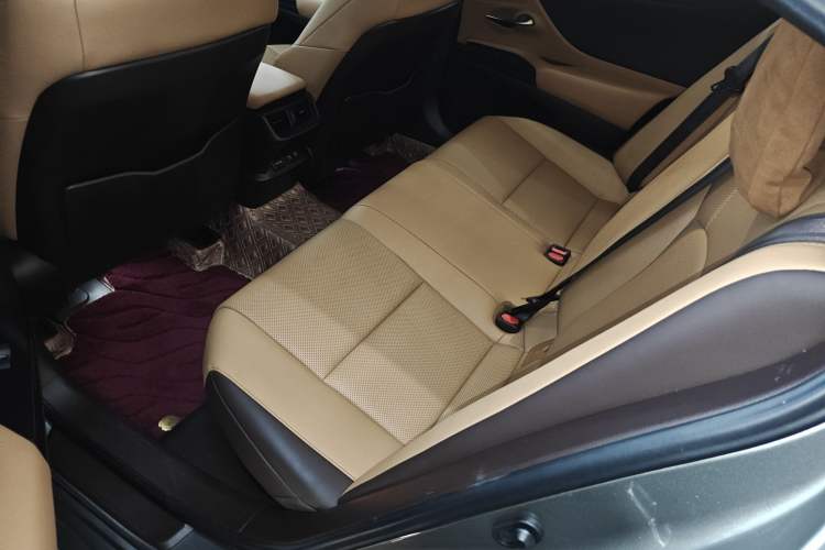 Used Lexus ES 2020 300h Premier Edition Left Rear Seat