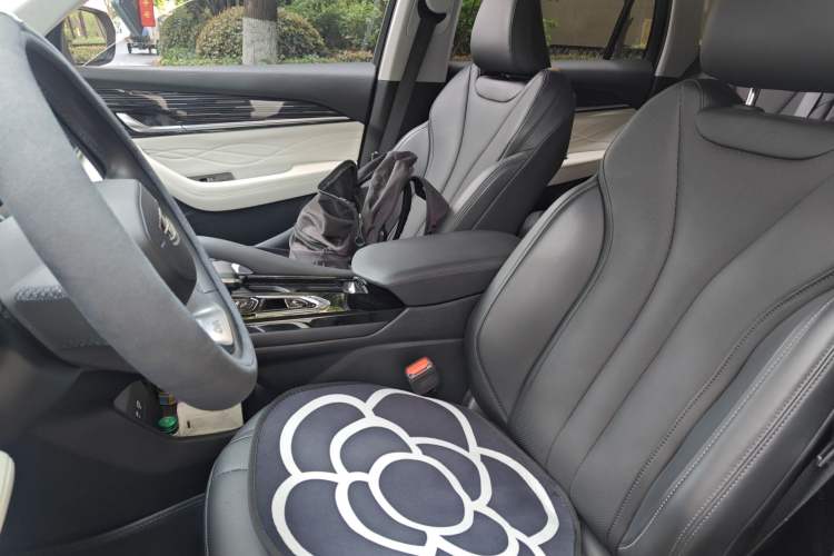 Used Geely Auto Monjaro L 2023 2.0TD High-Power Automatic Two-Wheel Drive Flagship Version Left Front Seat