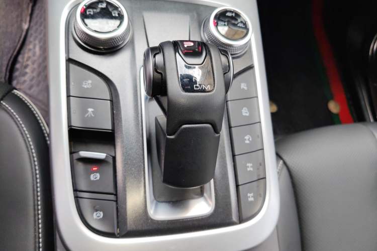 Used Tank 300 2021 2.0T Wind & Forest Iron Rider
