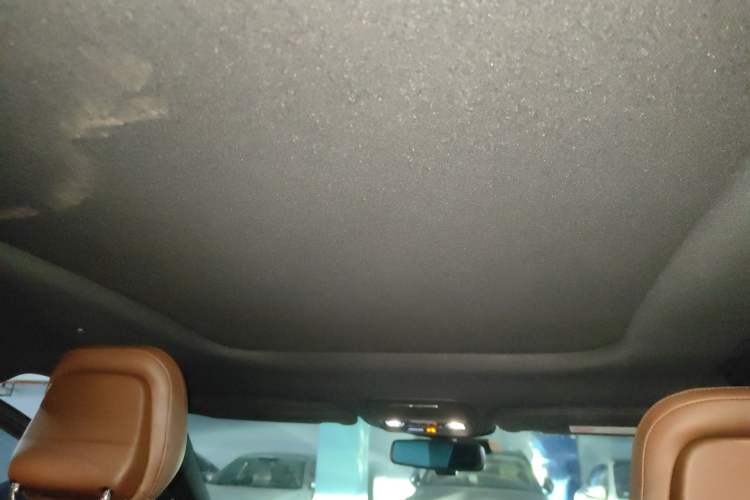 Used Lincoln Aviator 2022 3.0T V6 Four-Wheel Drive Luxury Edition Headliner